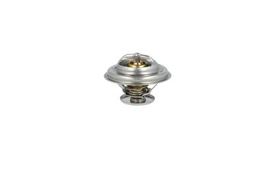TERMOSTAT LICHID RACIRE NRF 725071 8