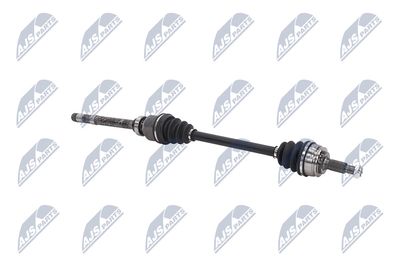 PLANETARA NTY NPWCT073 10