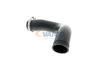 LADELUFTSCHLAUCH VAICO V301873 19