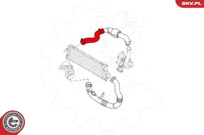 Charge Air Hose 24SKV815