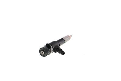 INJECTOR REMANTE 002003002123R 29