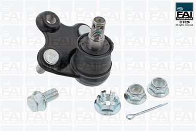 Шарнири FAI AutoParts FPBJ0152