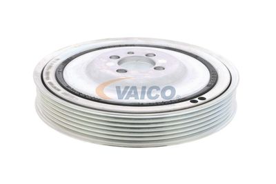 SET FULIE ARBORE COTIT VAICO V240865 35