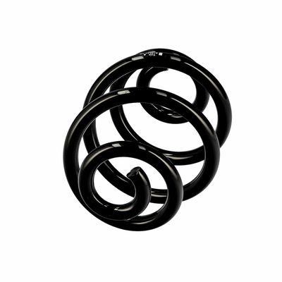 ARC SPIRAL EIBACH R10030 14