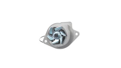 POMPă DE APă RăCIRE MOTOR SKF VKPC81215 19