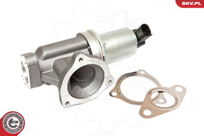 EGR Valve 14SKV054