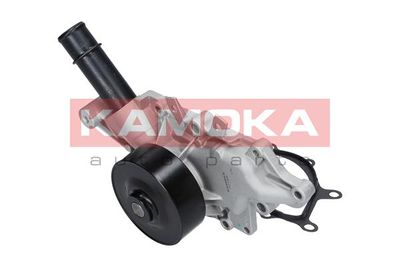 Water Pump, engine cooling T0198