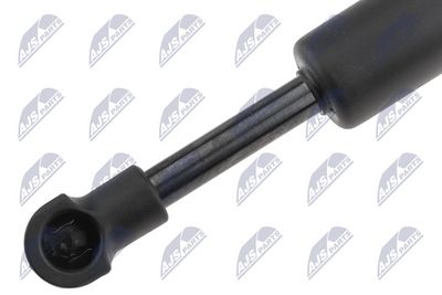 AMORTIZOR CAPOTA NTY AEPS010 1
