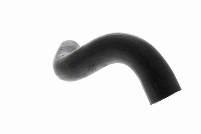 FURTUN EAR SUPRAALIMENTARE ACKOJA A389606 6