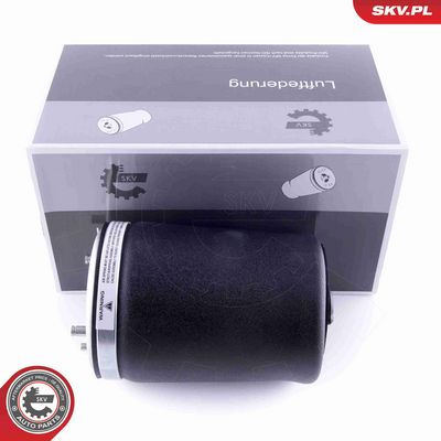 ARC PNEUMATIC DIRECTIE ESEN SKV 58SKV002 0