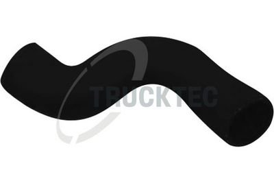 FURTUN EAR SUPRAALIMENTARE