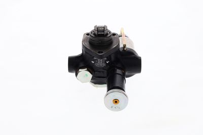 BOSCH Kraftstoffpumpe