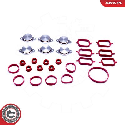 Tarpiklių rinkinys, įsiurbimo kolektorius