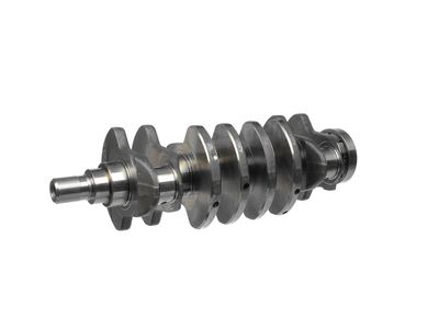 ARBORE COTIT ET ENGINETEAM HK0205 16