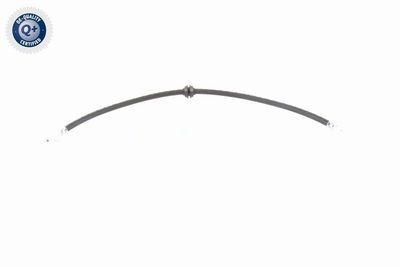 FURTUN FRANA VAICO V204119 1