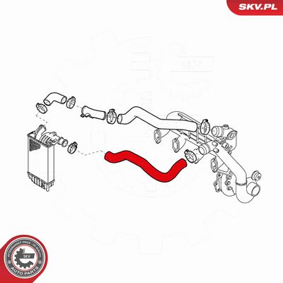 FURTUN EAR SUPRAALIMENTARE ESEN SKV 43SKV076 2