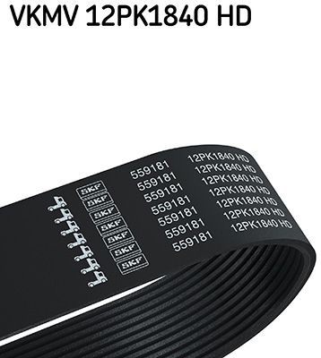 SKF V formos rumbuoti diržai