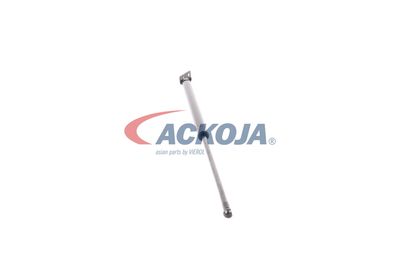 AMORTIZOR PORTBAGAJ ACKOJA A520092 25