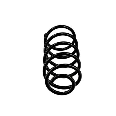 ARC SPIRAL EIBACH R10037 13