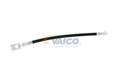 FURTUN FRANA VAICO V104127 56