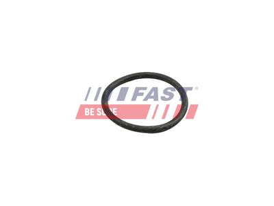 INEL ETANSARE FURTUN LICHID RACIRE