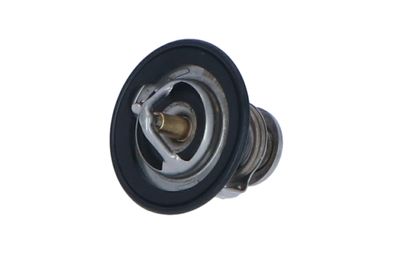 TERMOSTAT LICHID RACIRE NRF 725143 12