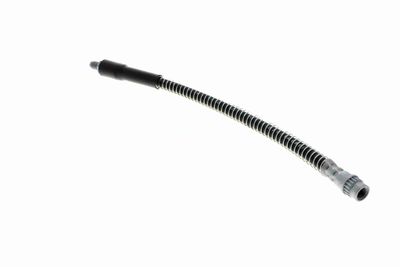 FURTUN FRANA VAICO V464113 2