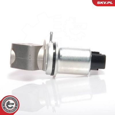 ESEN SKV ERG vožtuvas