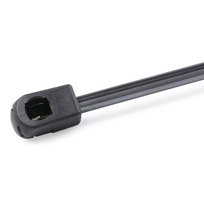газов амортисьор, багажно/товарно пространство RIDEX 219G0803