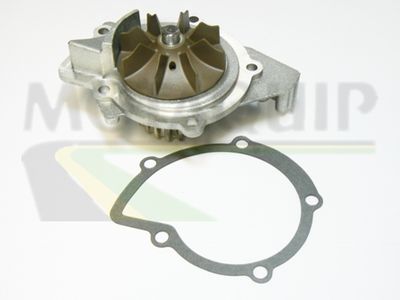 POMPă DE APă RăCIRE MOTOR MOTAQUIP VWP783 1