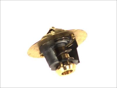 Thermostaat koelsysteem