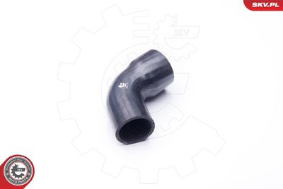 FURTUN EAR SUPRAALIMENTARE