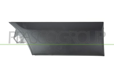 ELEMENTE DECORATIVE/PROTECTIE ARIPA