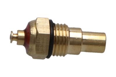 SENZOR TEMPERATURA LICHID DE RACIRE