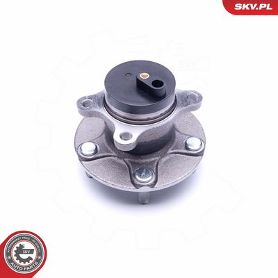 Rato guolio komplektas