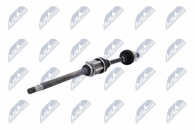 PLANETARA NTY NPWCH040 2