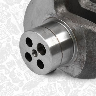 ARBORE COTIT ET ENGINETEAM HK0189 3