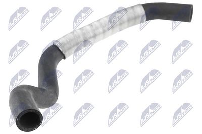 CPP-PE-019