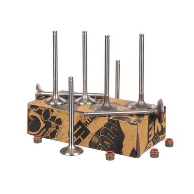 SET SUPAPE SUPAPă ADMISIE/EVACUARE ET ENGINETEAM VS0023VR1 8