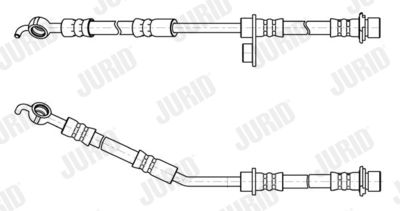 FURTUN FRANA JURID 173131J