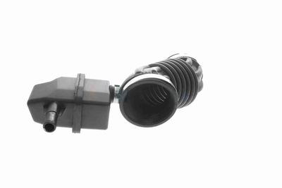 FURTUN ALIMENTARE AER ACKOJA A380593 13