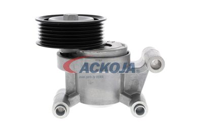 INTINZATOR CUREA CUREA DISTRIBUTIE ACKOJA A320602 12