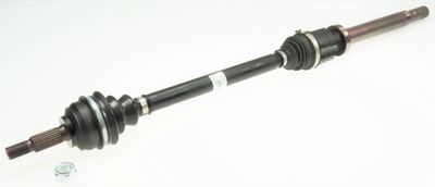 Drive Shaft 36218