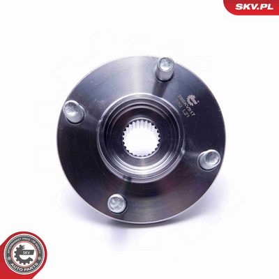 SET RULMENT ROATA ESEN SKV 29SKV517 3