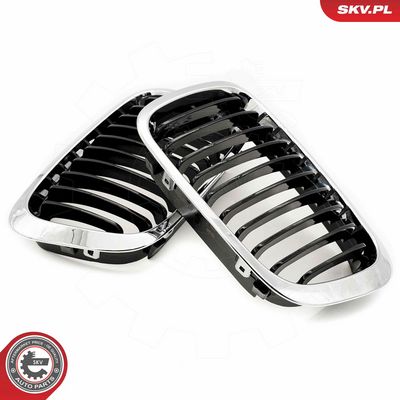 GRILA RADIATOR ESEN SKV 66SKV064 3
