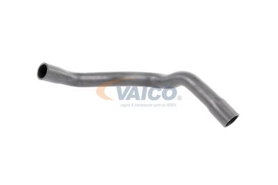 FURTUN RADIATOR VAICO V203246 14