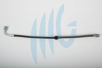 Тормозной шланг RICAMBIFLEX GM 02190050 для KIA CARNIVAL