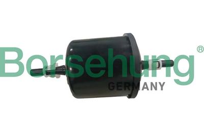 Borsehung Kuro filtras