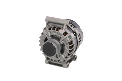 GENERATOR / ALTERNATOR REMANTE 011003000029R 65
