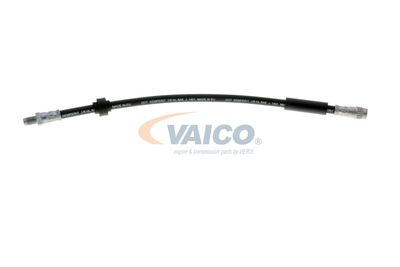 FURTUN FRANA VAICO V461009 58